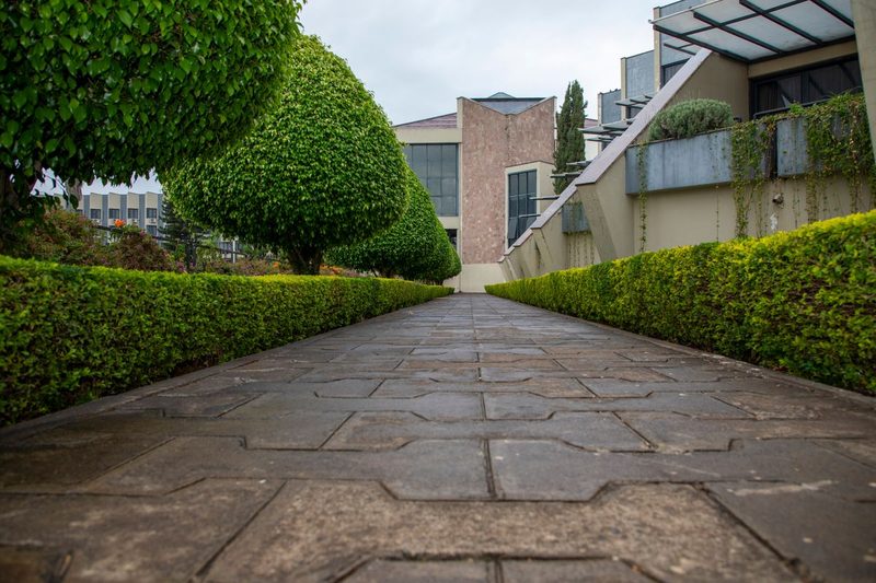 Gepflegter Gartenweg mit sauber geschnittener Hecke